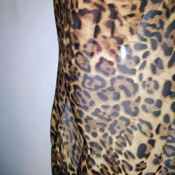 Sheer Leopard Print Maxi Dress - Picture 7 of 10